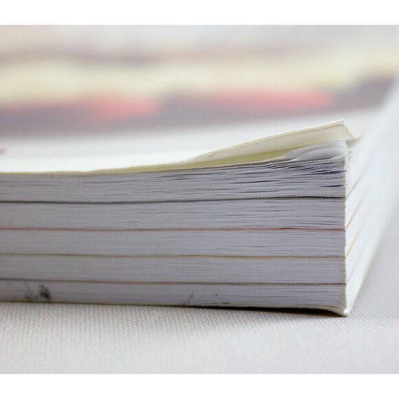 The Convection Oven Bible By Linda Stephen 2007 Cookbook Trade Paperback - Picture 4 of 8